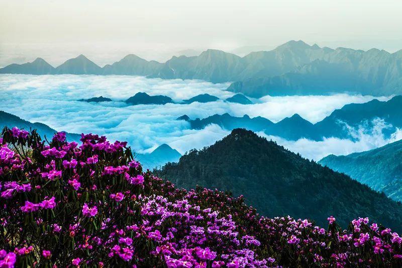 逃出漂浮的小岛